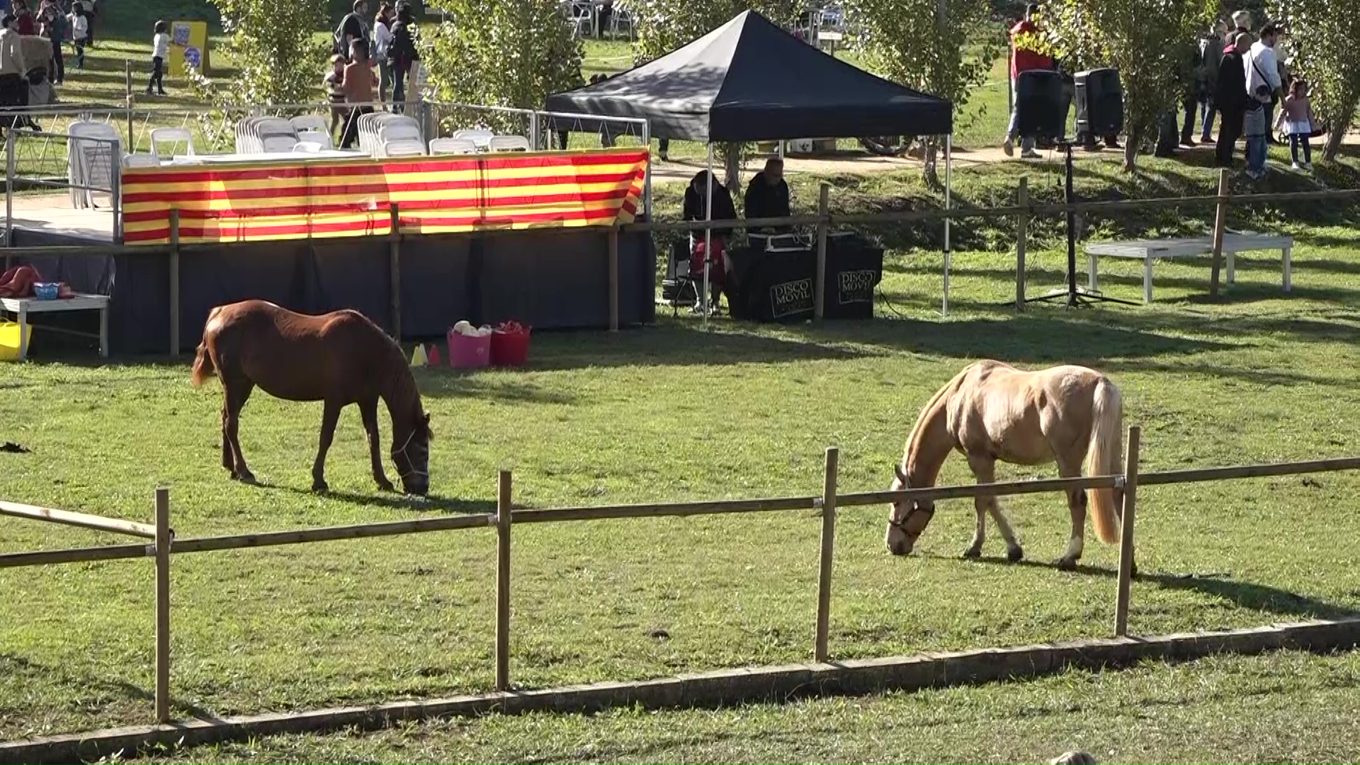 Reportatge: La Fira de Sant Martirià de Banyoles 2024